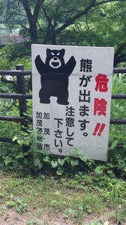 image.jpg
