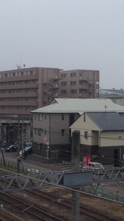 image.jpg